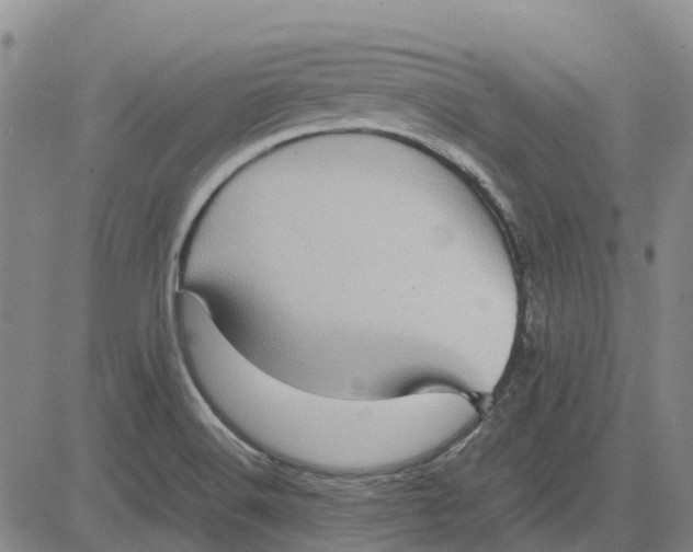 X0000083641516200703051647