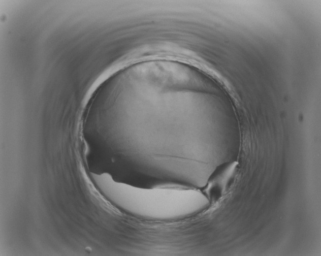 X0000083641522200703051647