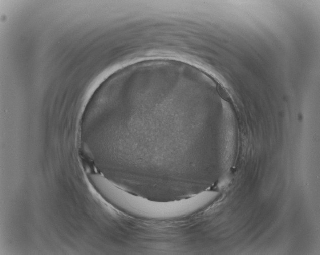 X0000083641527200703051648