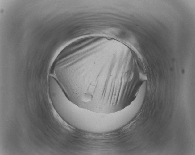 X0000083641532200703051648