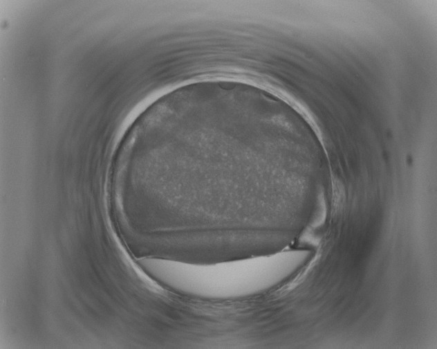 X0000083641533200703051648