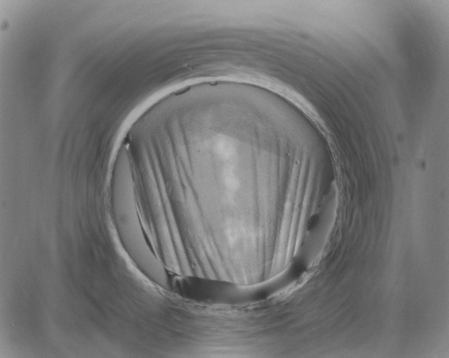 X0000083641536200703051648