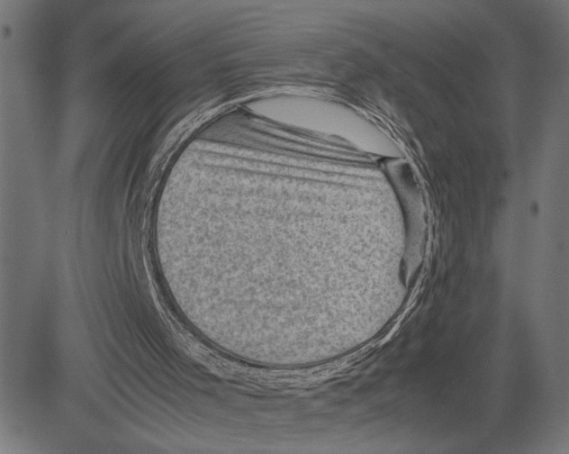X0000083640001200703121731