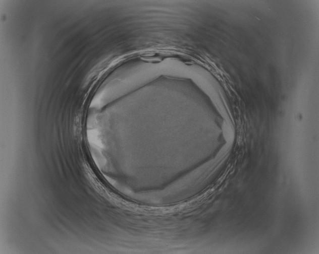 X0000083640002200703121731