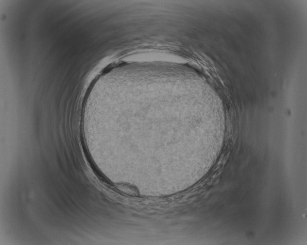X0000083640003200703121731