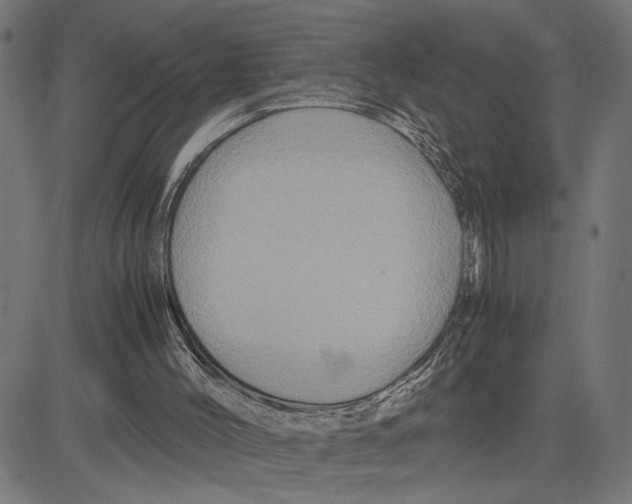 X0000083640004200703121731