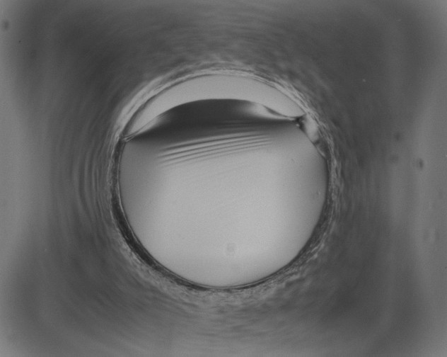 X0000083640007200703121731