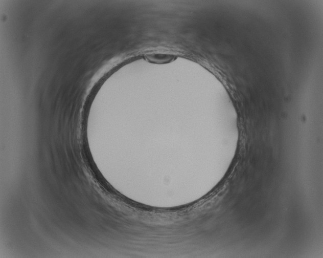 X0000083640008200703121731