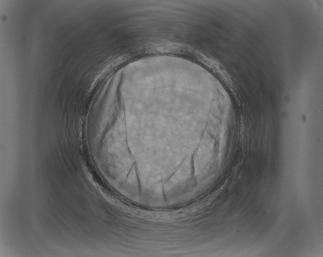 X0000083640010200703121731