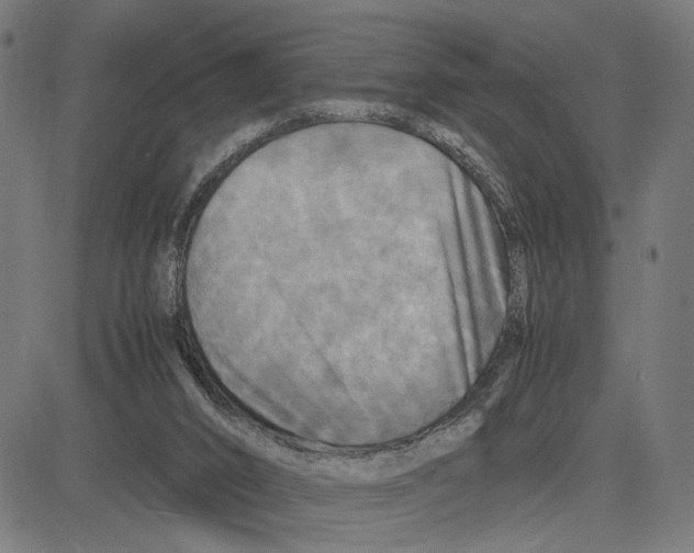 X0000083640016200703121731