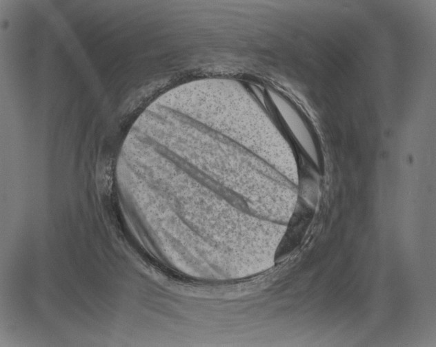 X0000083640017200703121731