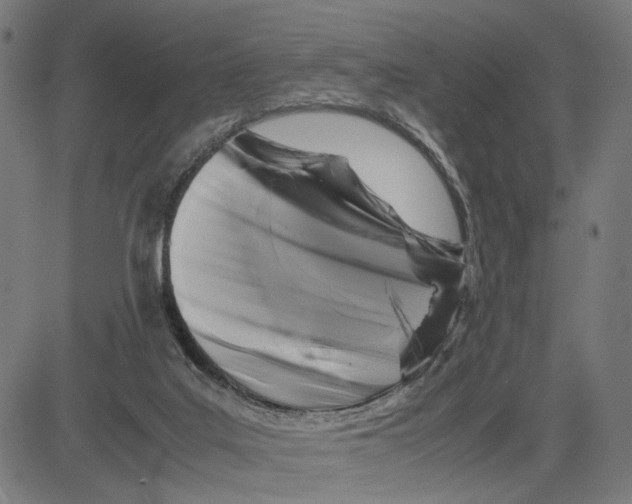 X0000083640019200703121731