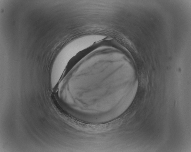 X0000083640027200703121731