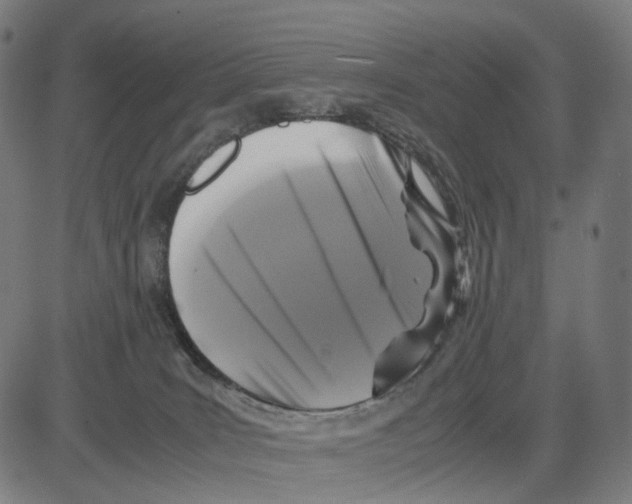 X0000083640035200703121731