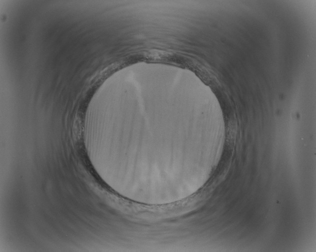 X0000083640043200703121731