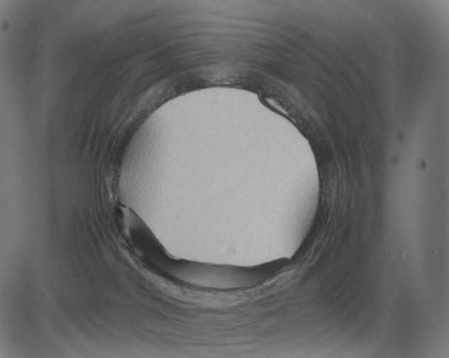 X0000083640044200703121731