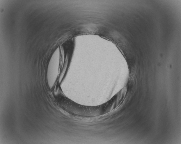 X0000083640045200703121731