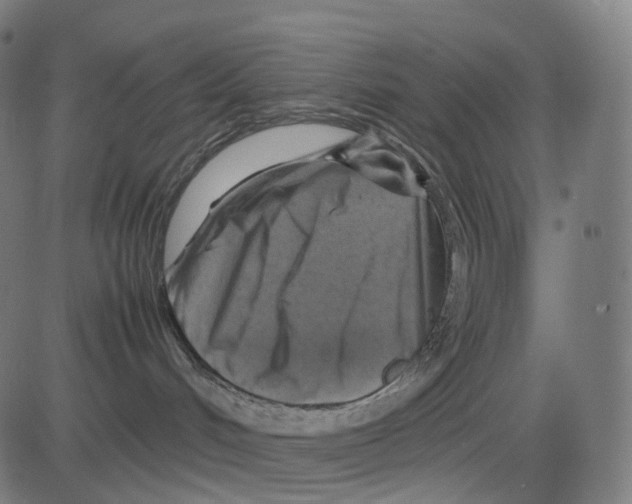 X0000083640048200703121731