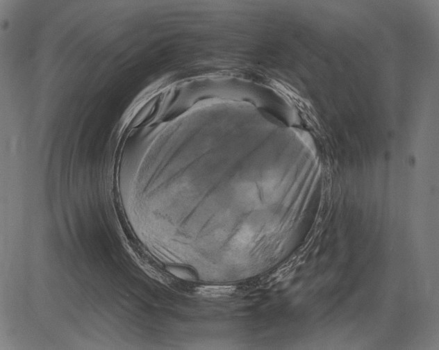 X0000083640051200703121730
