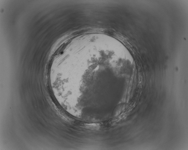X0000083640053200703121730
