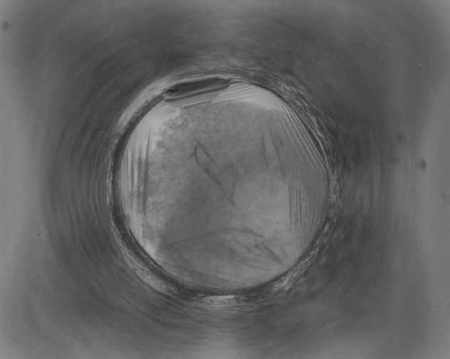 X0000083640054200703121730