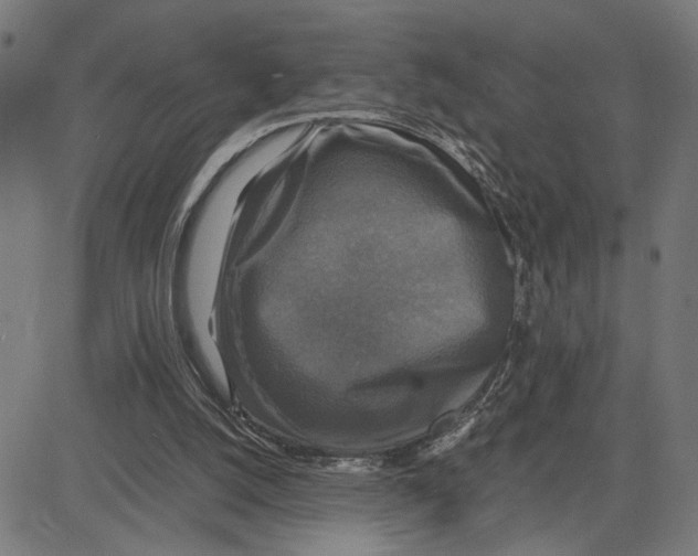 X0000083640056200703121730