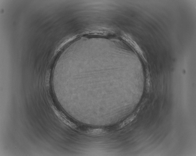 X0000083640058200703121730