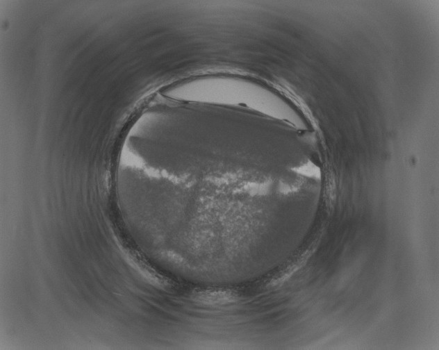 X0000083640063200703121730