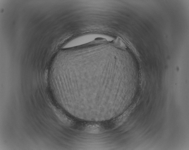X0000083640066200703121730