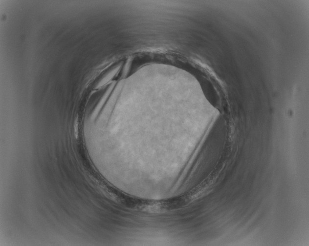 X0000083640068200703121730