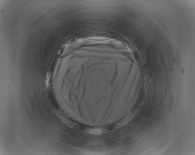 X0000083640075200703121730