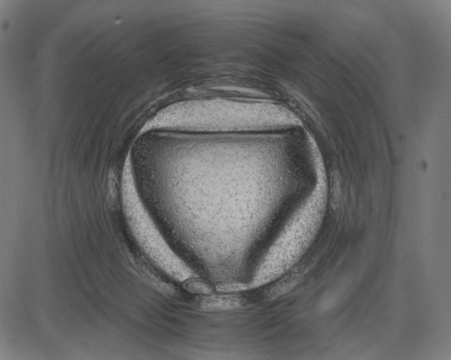 X0000083640077200703121730