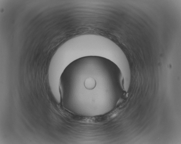 X0000083640080200703121730