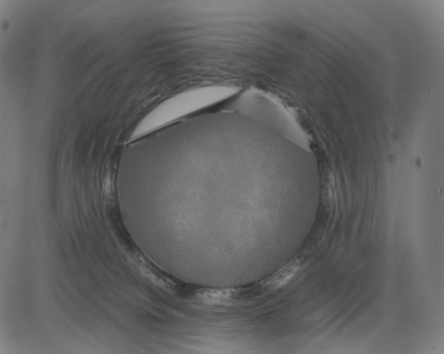 X0000083640084200703121730