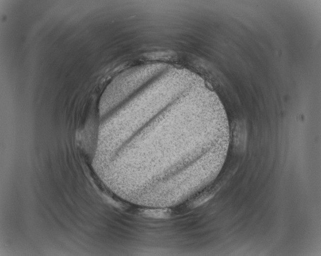 X0000083640089200703121730