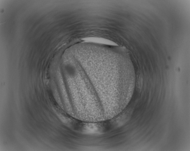 X0000083640091200703121731