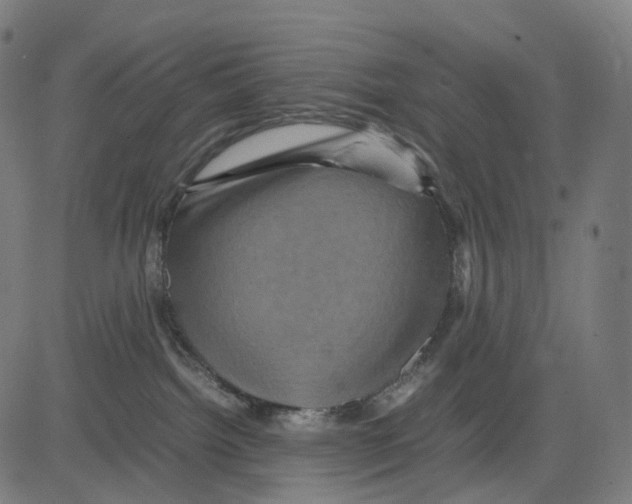 X0000083640092200703121731