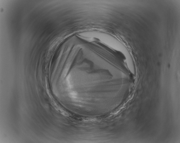 X0000083640097200703121730