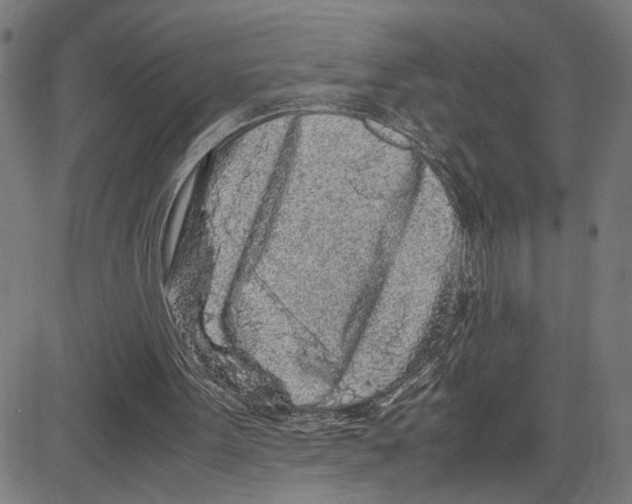 X0000083640099200703121730