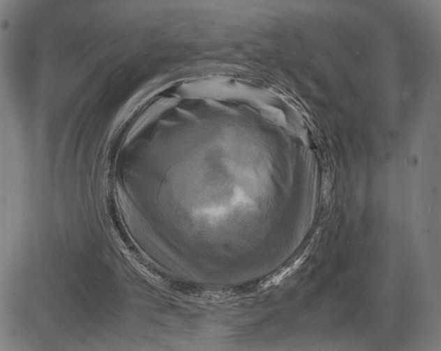X0000083640101200703121730