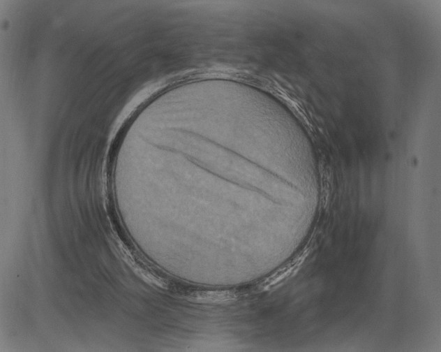 X0000083640102200703121730