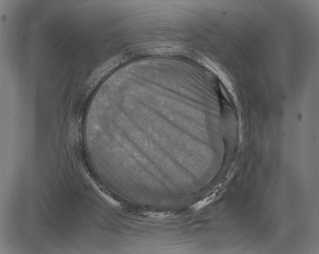 X0000083640105200703121730