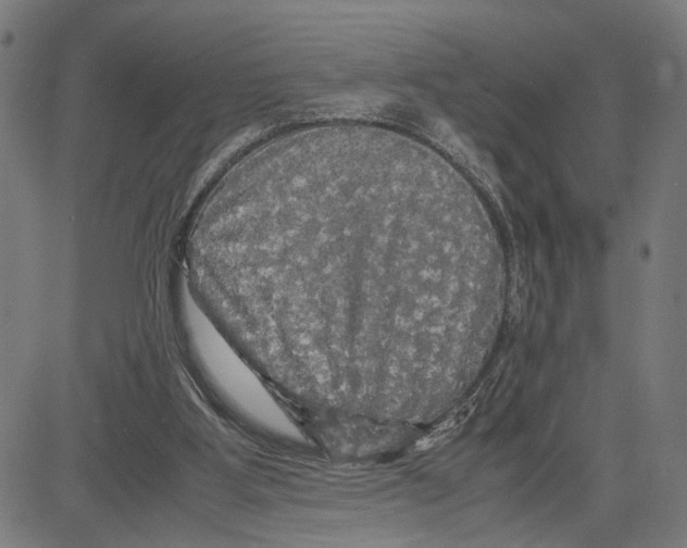 X0000083640107200703121730