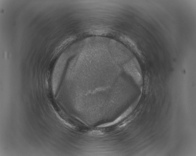 X0000083640114200703121730