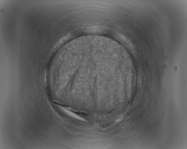 X0000083640115200703121730
