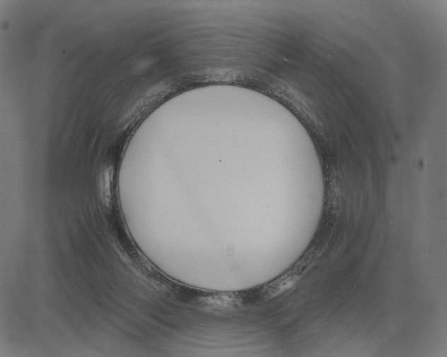 X0000083640118200703121729
