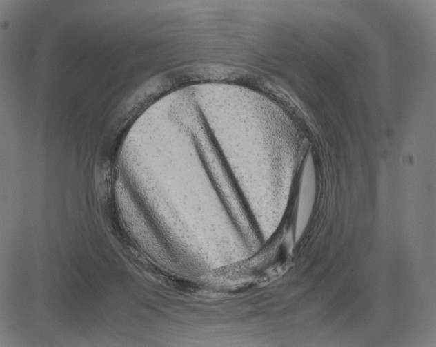 X0000083640119200703121729