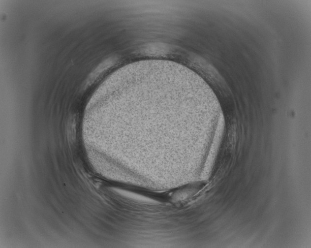 X0000083640120200703121729