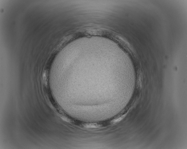 X0000083640121200703121729