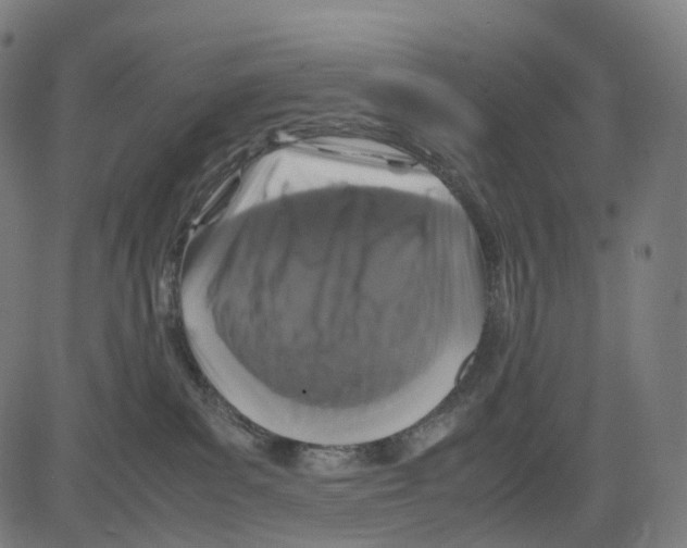 X0000083640139200703121729